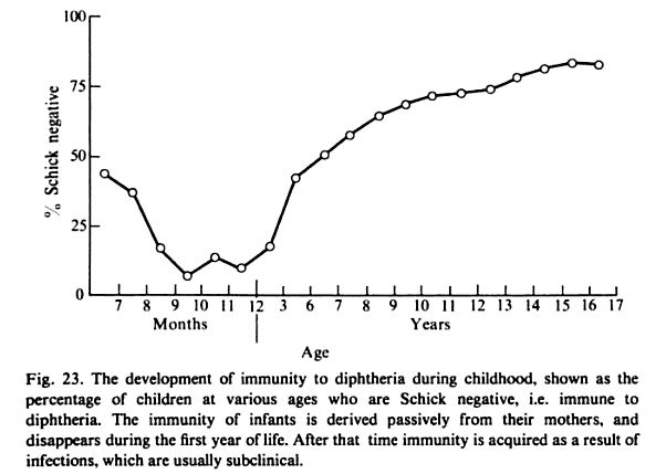 Schick test graph