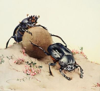 the sacred beetle by E. J. Detmold