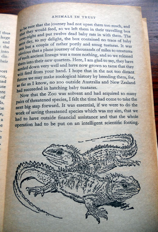 tuataras in Gerald Durrell's Menagerie Manor