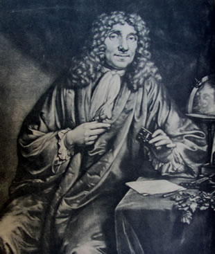 Verkolje's mezzotint of Antony van Leeuwenhoek